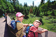 family holiday in the Bavarian Forest